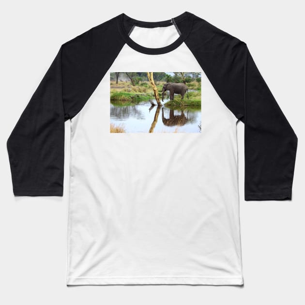 African Elephant, Serengeti National Park, Tanzania Baseball T-Shirt by Carole-Anne